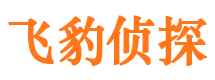 新野外遇调查取证